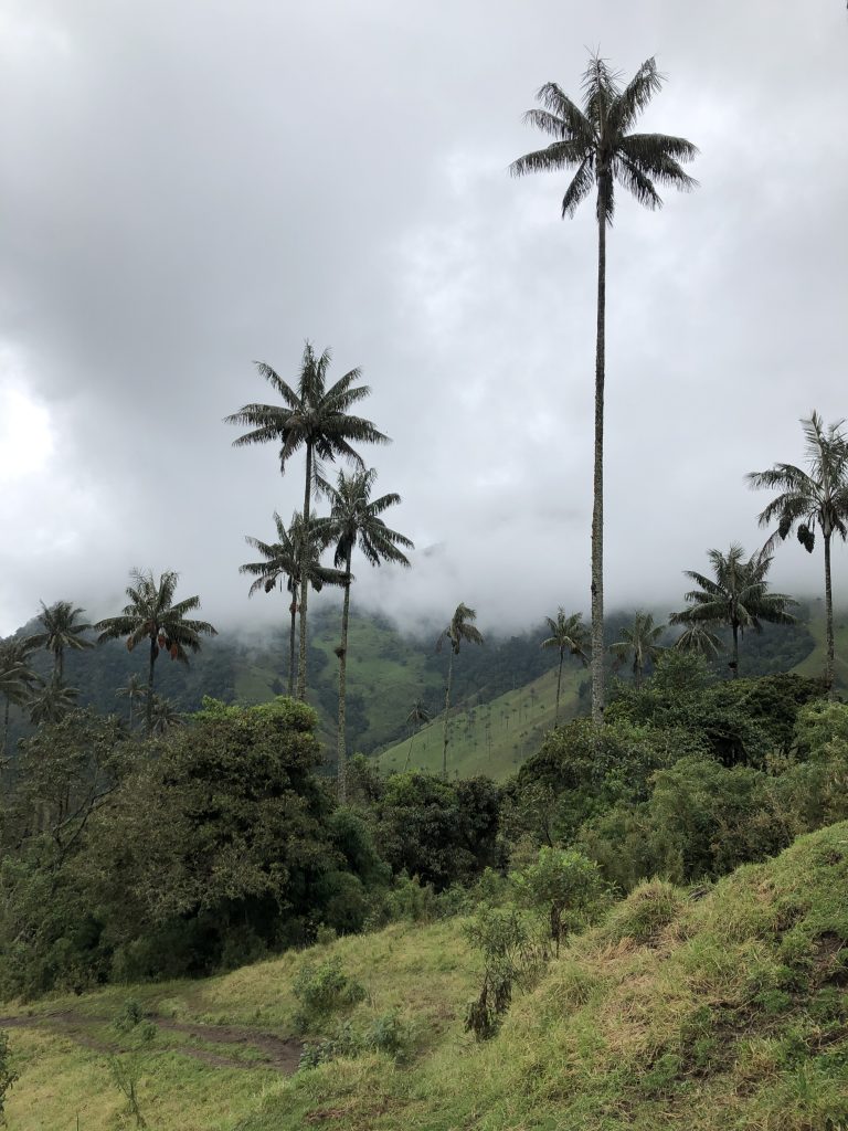 route du café colombie