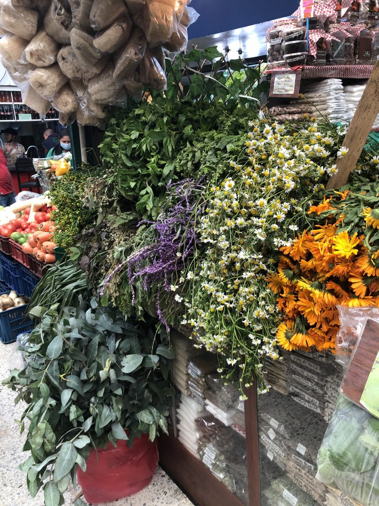 marché colombie vente d'herbes aromatiques