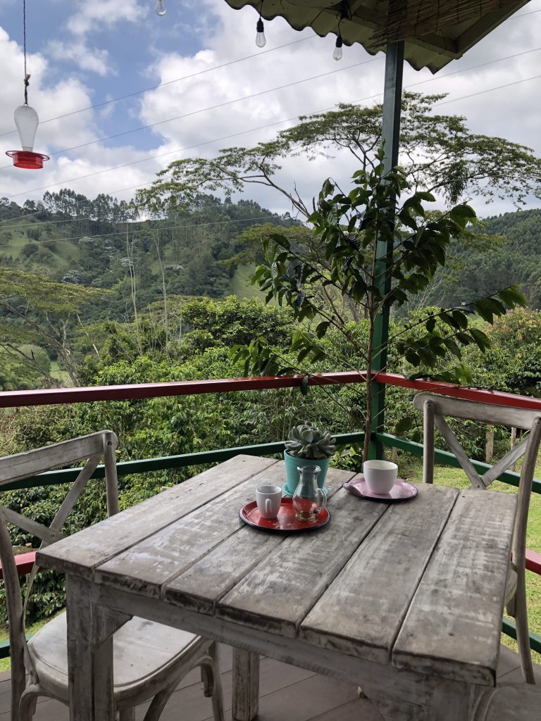 Ferme et plantation de café colombie