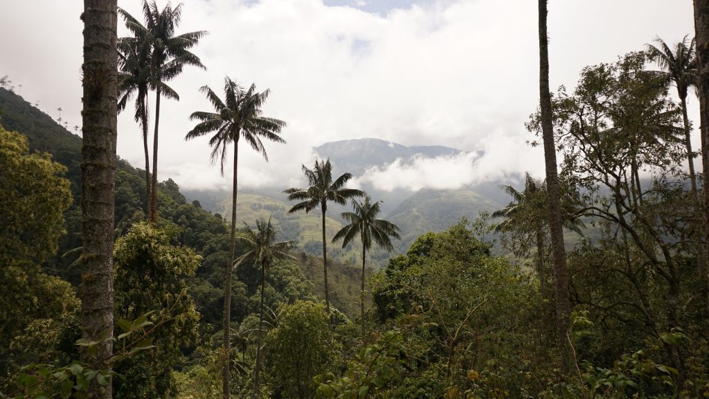 Femme-Colombie-Voyage